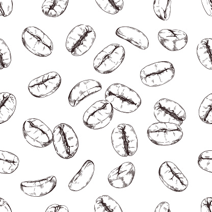 Coffee beans pattern. Seamless print of hand drawn roasted Arabica various seeds. Engraved morning drink ingredient. Espresso grains background. Vector cafe and coffeeshop wallpaper