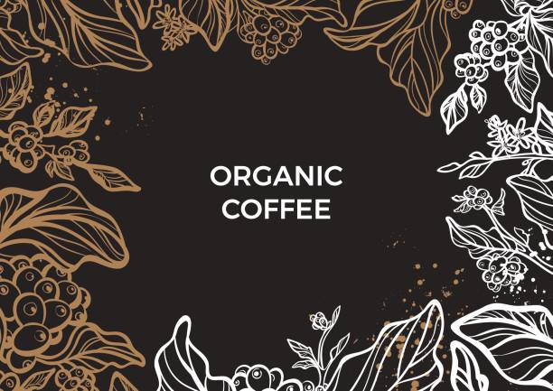 ilustrações de stock, clip art, desenhos animados e ícones de coffee branch with leaves and coffee beans. - background coffee