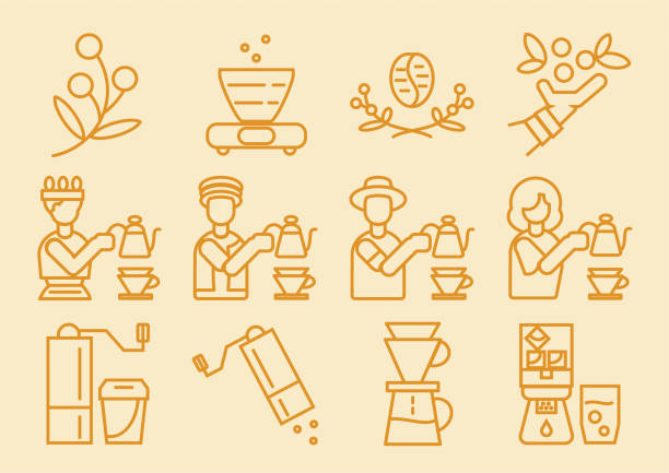 coffee dripper icon with brewing process coffee dripper line icon design with brewing process vector illustration hot arab women stock illustrations