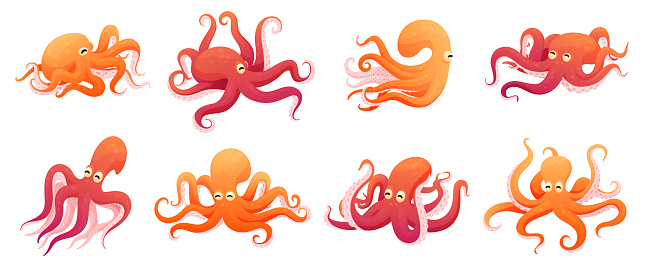 Collection funny childish octopus in different poses vector flat illustration