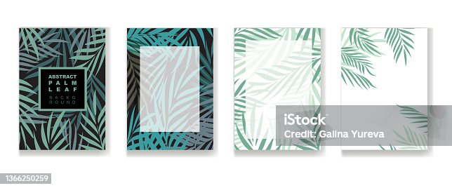 istock Collection of backgrounds with exotic leaves 1366250259