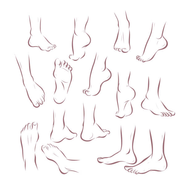Collection of bare human man and woman feet arranged in different poses  isolated on white background. Collection of bare human man and woman feet arranged in different poses  isolated on white background. Front, side, back view. Foot icon. Vector sketch hand drawn illustration. bare feet stock illustrations
