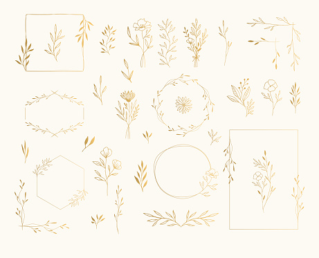 Collection of botanical golden design elements. Vector flowers, leaves, herbs, bouquets, floral arrangement. Wedding invite illustration.