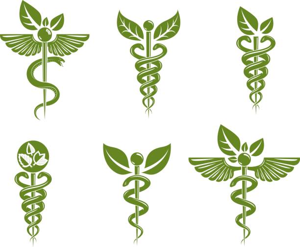 Collection of Caduceus illustrations composed with poisonous snakes and bird wings, healthcare conceptual vector illustrations. Alternative medicine theme.  caduceus stock illustrations