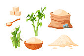 Collection of cane sugar. Sugarcane products. Growing sweet plants on plantation. Manufacturing packaging natural organic harvest. Package with cube and dry loose delicious carbohydrate cartoon vector
