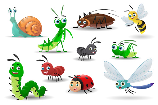 Siput serangga dan cacing termasuk hewan
