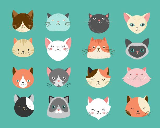 Collection of cats illustrations Collection of cats illustrations, icons, avatars bobtail squid stock illustrations