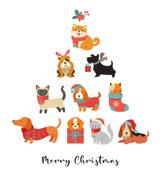 stockillustraties, clipart, cartoons en iconen met inzameling van de katten en de honden van kerstmis, vrolijke illustraties van kerstmis van leuke huisdieren met toebehoren zoals een gebreide hoeden, sweaters, sjaals - christmas cat