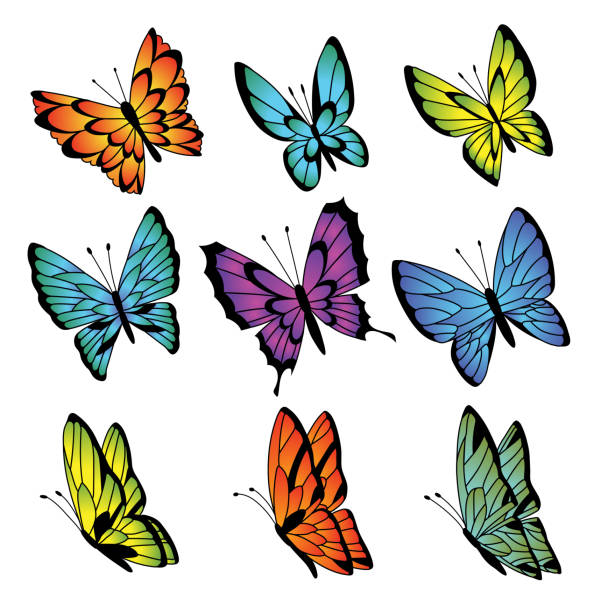 Best Purple Butterfly Clipart Illustrations, Royalty-Free Vector ...