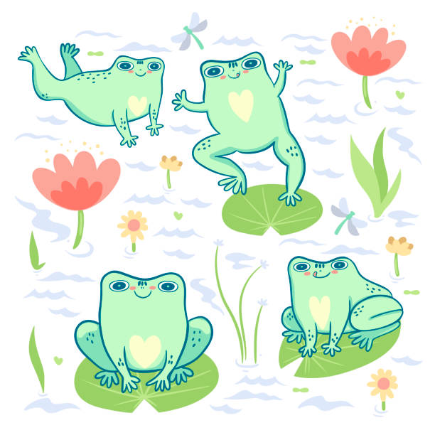 Collection of cute frogs on a white background. Vector graphics. Collection of cute frogs on a white background. Vector image. stylized underwater nature set of icons stock illustrations