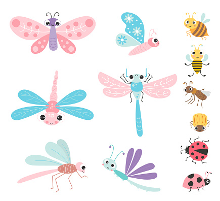Collection of cute winged insects and beetles. Funny characters butterfly, dragonfly, bee and mosquito, ladybug and Colorado potato beetle. Vector illustration. Isolated elements for design, decor