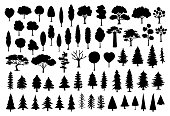 collection of different park, forest, conifer cartoon trees silhouettes in black color set