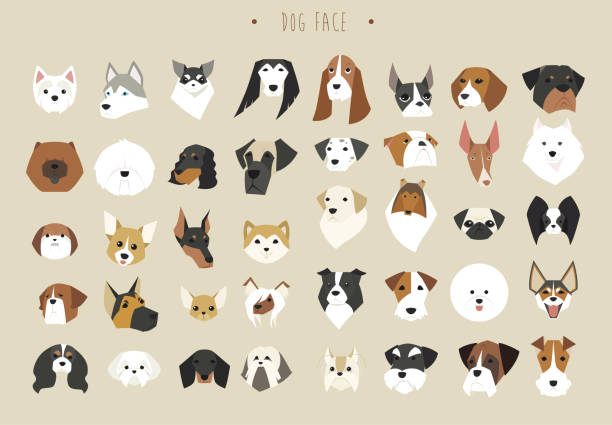 Collection of dog faces of different breeds. vector art illustration