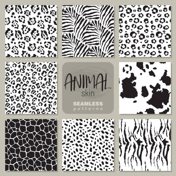 bildbanksillustrationer, clip art samt tecknat material och ikoner med samling av åtta vektor sömlösa mönster med djurhud zebra, jaguar, leopard, giraff ko. - leopard