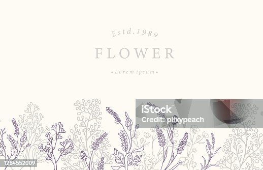 istock Collection of flower background set with lavender.Editable vector illustration for website, invitation,postcard and sticker 1284552009