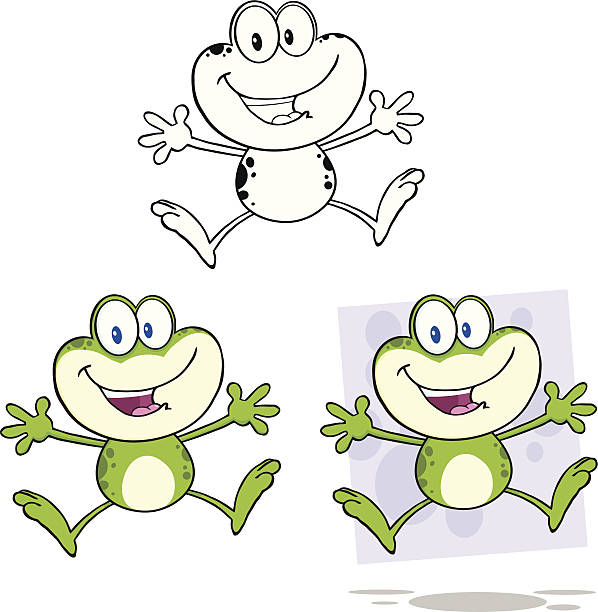 Collection of Frog Mascot - 2 Similar Illustrations: frog clipart black and white stock illustrations