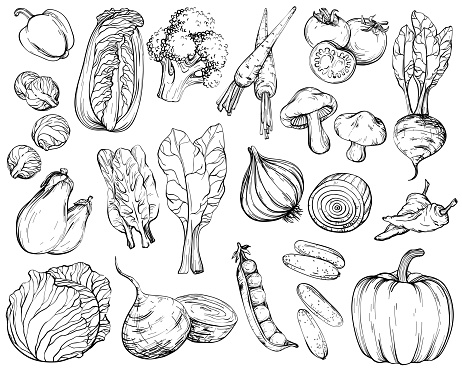 Collection of hand-drawn vegetables, black and white.