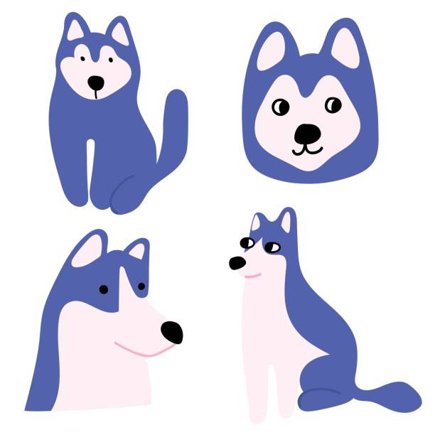 ilustraciones, imágenes clip art, dibujos animados e iconos de stock de colección de perros husky - alaska