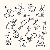 Vector illustration of various bunny poses in black and white.