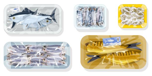 illustrations, cliparts, dessins animés et icônes de collecte de produits de l’océan - filet de poisson