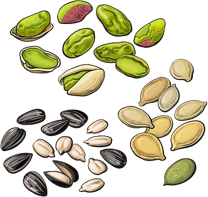 Collection of pistachio, sunflower and pumpkin seeds