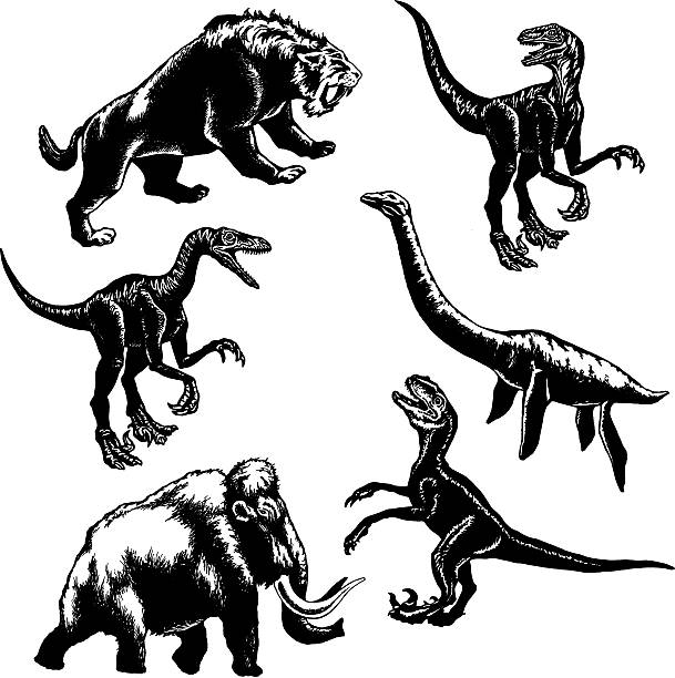collection of prehistoric animals hand drawn, vector, sketch illustration of collection of prehistoric animals loch ness monster stock illustrations
