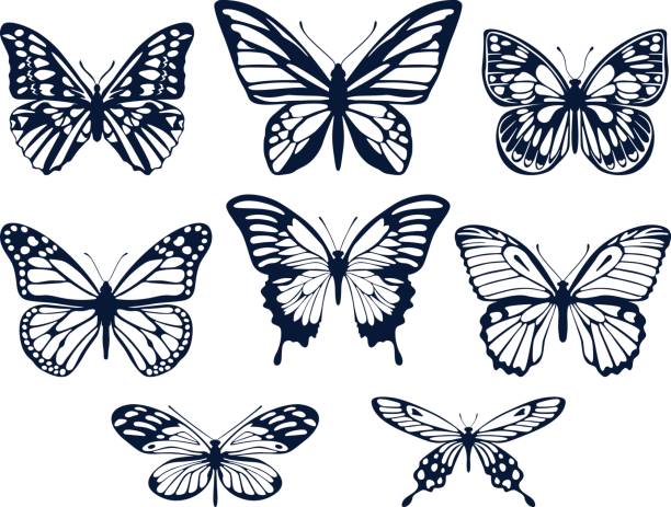 Collection of silhouettes of butterflies. Butterfly icons. Vector illustration. Vector set of non-continuous silhouettes of butterflies in a flat style on a white background. butterfly flower stock illustrations