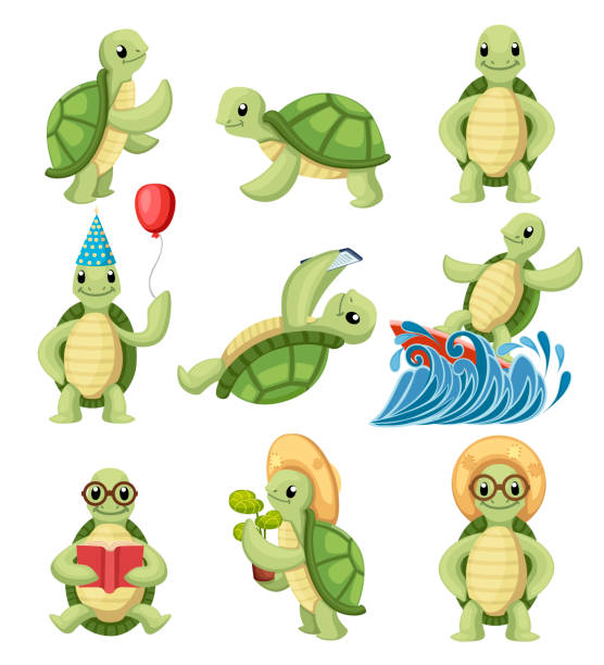Collection of turtles cartoons characters. Little turtles do different things. Flat vector illustration isolated on white background Collection of turtles cartoons characters. Little turtles do different things. Flat vector illustration isolated on white background. turtle stock illustrations