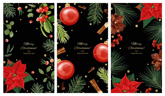 Collection of vertical Christmas backgrounds for social networks with space for text. Spruce branches, red Christmas flower Poinsettia, cones, berries, cloves, cinnamon, balls and golden confetti.