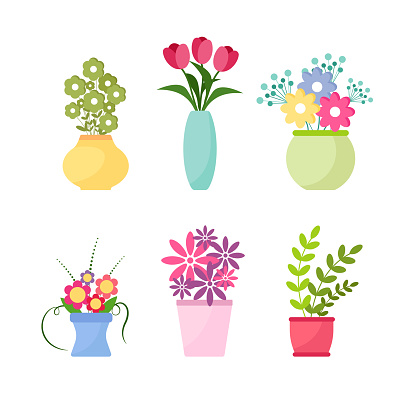 Collection of wild and garden flowers in vases and bottles isolated on white background. Bundle of bouquets. Set of decorative floral design elements. Vector illustration