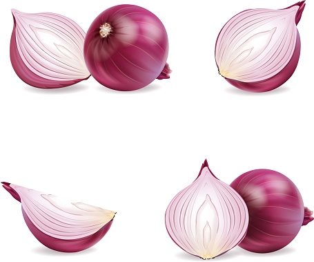 Collection red onion with slices and cut in half isolated on white background.illustration vector