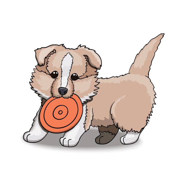 Collie Puppy With Frisbee. Cartoon Character Illustration Collie Puppy With Frisbee. Cartoon Character Vector Illustration. EPS 10 frisbee clipart stock illustrations