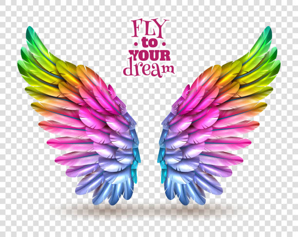 color bird wing transparent set Pair of colorful bird wings set isolated on transparent background with shadow flat vector illustration animal wing stock illustrations