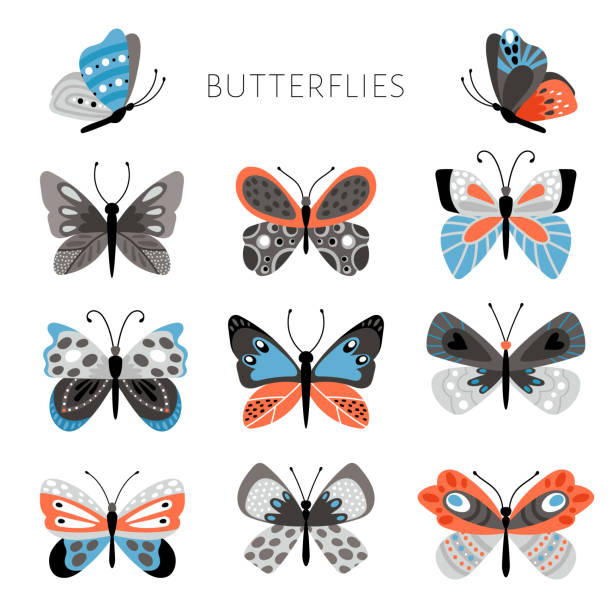 Color butterflies and moths illustration. Vector pretty colorful butterfly set for kids, tropical spring insects in blue and pink colors Color butterflies and moths illustration. Vector pretty colorful butterfly set for kids, tropical spring insects in blue and pink colors on white background pink monarch butterfly stock illustrations