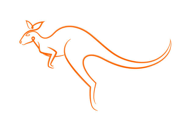 Color graphic flat symbol of Australian jumping wild animal kangaroo, dynamic calligraphic linear silhouette, for icon, sign, print or packaging. Vector illustration isolated on background. Color graphic flat symbol of Australian jumping wild animal kangaroo, dynamic calligraphic linear silhouette, for icon, sign, print or packaging. Vector illustration isolated on background. kangaroo stock illustrations