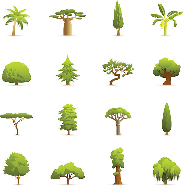 ilustrações, clipart, desenhos animados e ícones de cor ícones-árvores - arvores 3d