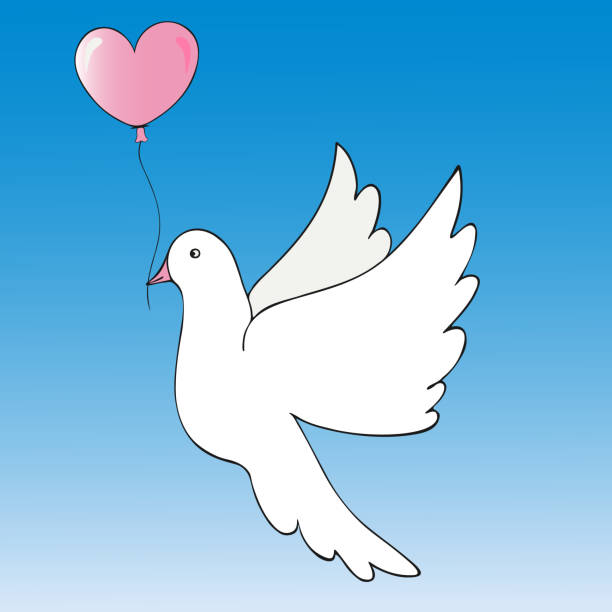 ilustraciones, imágenes clip art, dibujos animados e iconos de stock de la ilustración en color de una paloma blanca lleva un globo rosa en forma de corazón. vector. fondo azul. - bills saints