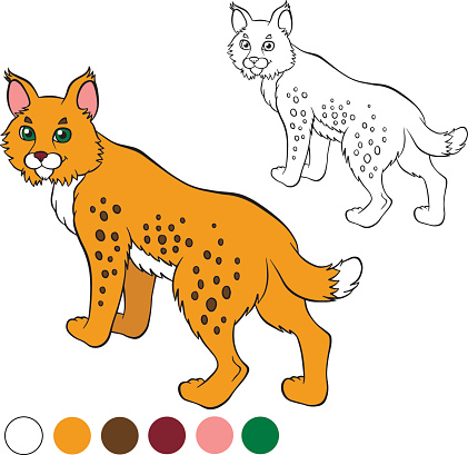 Color me: lynx. Cute beautiful lynx stands and smiles.