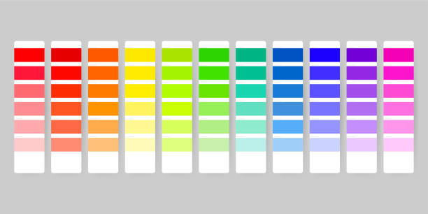 Color palette guide on transparent background Color palette guide on transparent background color swatch stock illustrations