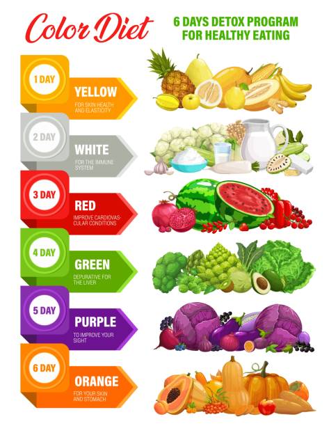 Color rainbow diet, detox nutrition infographics Color rainbow diet. Detox nutrition infographics on food vitamins and minerals. Detox day program for healthy eating and dietetics or health wellbeing with rainbow color diet benefits benefits of exercise infographics stock illustrations