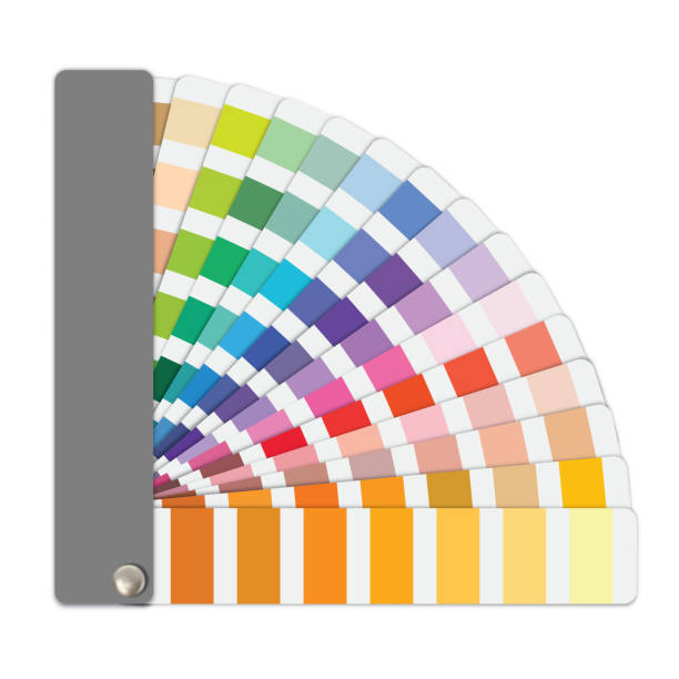 색상 샘플 가이드 벡터 - 팔레트 stock illustrations