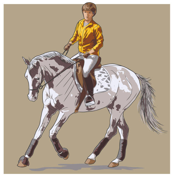 bildbanksillustrationer, clip art samt tecknat material och ikoner med färg skiss av en kvinna som rider på en häst. - working stable horses