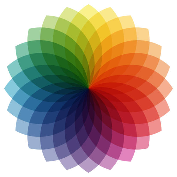 Best Color Wheel Illustrations, Royalty-Free Vector