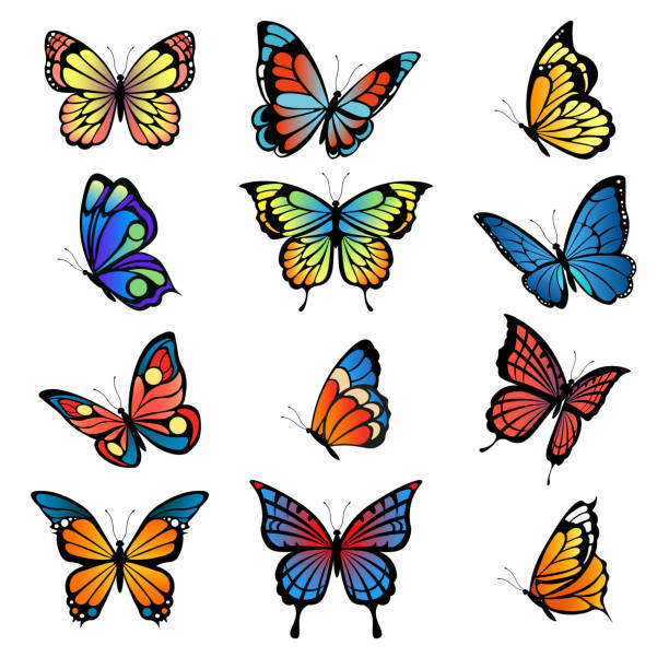 illustrazioni stock, clip art, cartoni animati e icone di tendenza di farfalle colorate. immagini vettoriali di farfalle impostate - farfalle