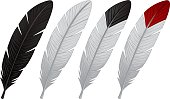 istock Colored Feathers 482859441