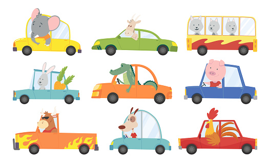 Colored set of kids transport with cute little animals driving car. Collection cartoon animal driver, pets vehicle and happy in funny cars. Transportation animals character travel in cars