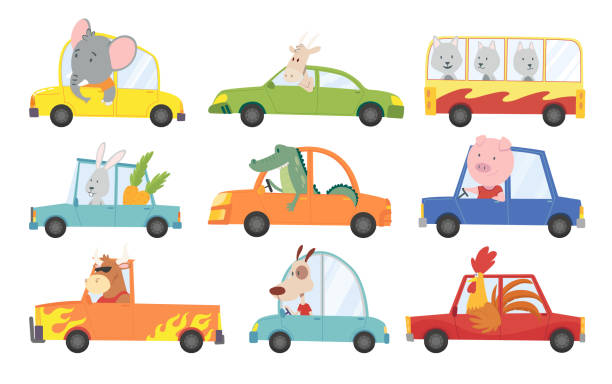 farbige satz von kindern transport mit niedlichen kleinen tieren auto fahren. sammlung cartoon tier fahrer, haustiere fahrzeug und glücklich in lustigen autos. transport tiere charakter reisen in autos - lustige autos stock-grafiken, -clipart, -cartoons und -symbole