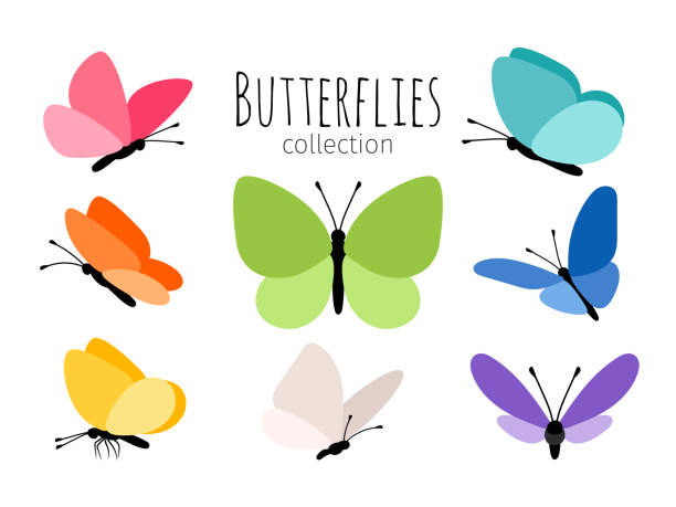 Colored spring butterflies Colored spring butterflies. Abstract drawing color flying butterfly set for kids vector illustration isolated on white background butterfly insect stock illustrations