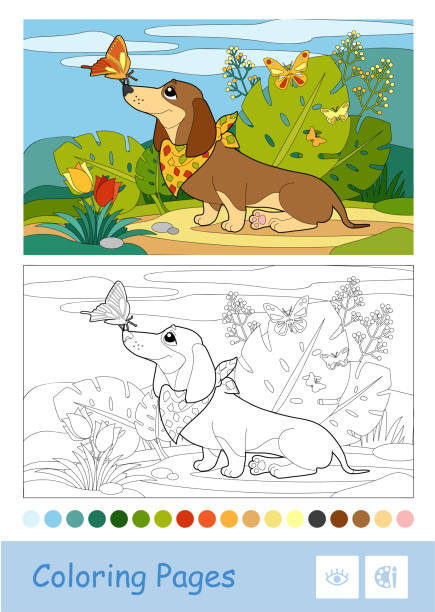 Colored template and colorless contour image of a dog playing with butterflies on a meadow. Colored template and colorless contour image of a dog playing with butterflies on a meadow. Pets preschool kids coloring book vector illustrations and developmental activity. coloring book pages templates stock illustrations