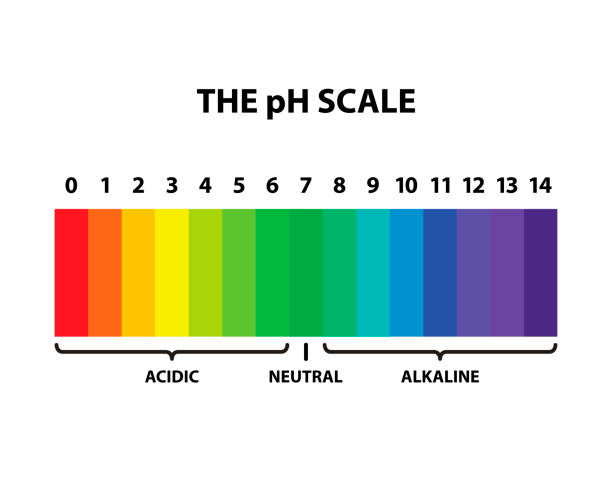 Colored the pH scale rainbow - isolated vector illustration vector art illustration